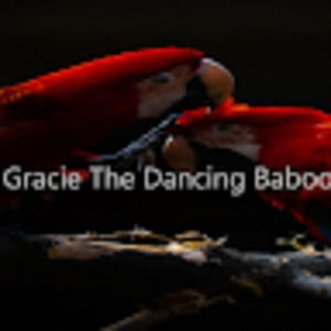 Meet your Posher, Gracie